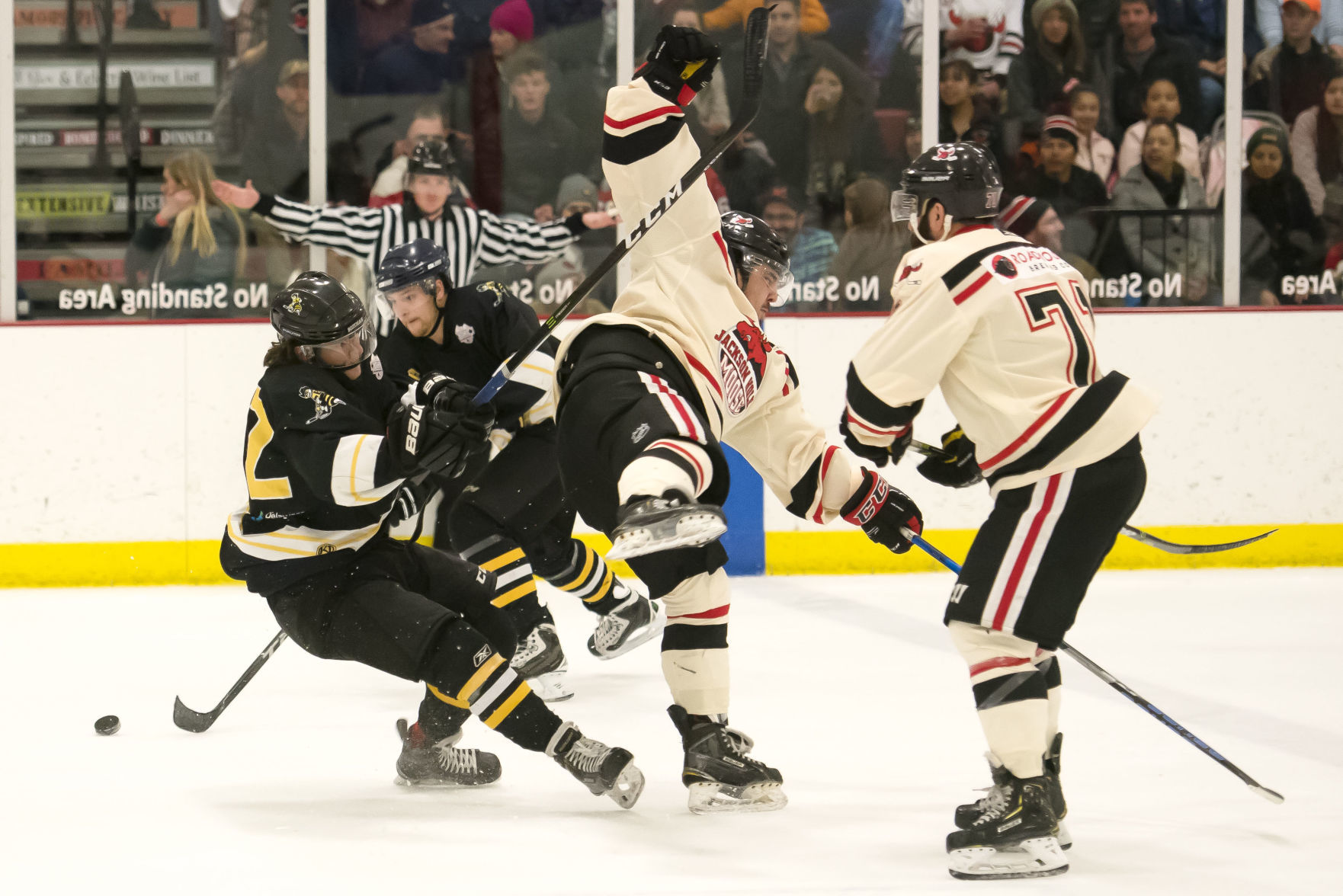 Moose hockey playoffs